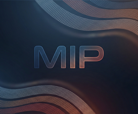 MIP Technology